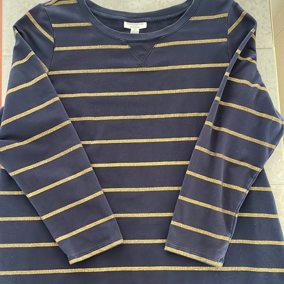 CHARTER CLUB Woman Weekend 2X long sleeve navy top glittery gold stripes high-lo - Picture 1 of 9